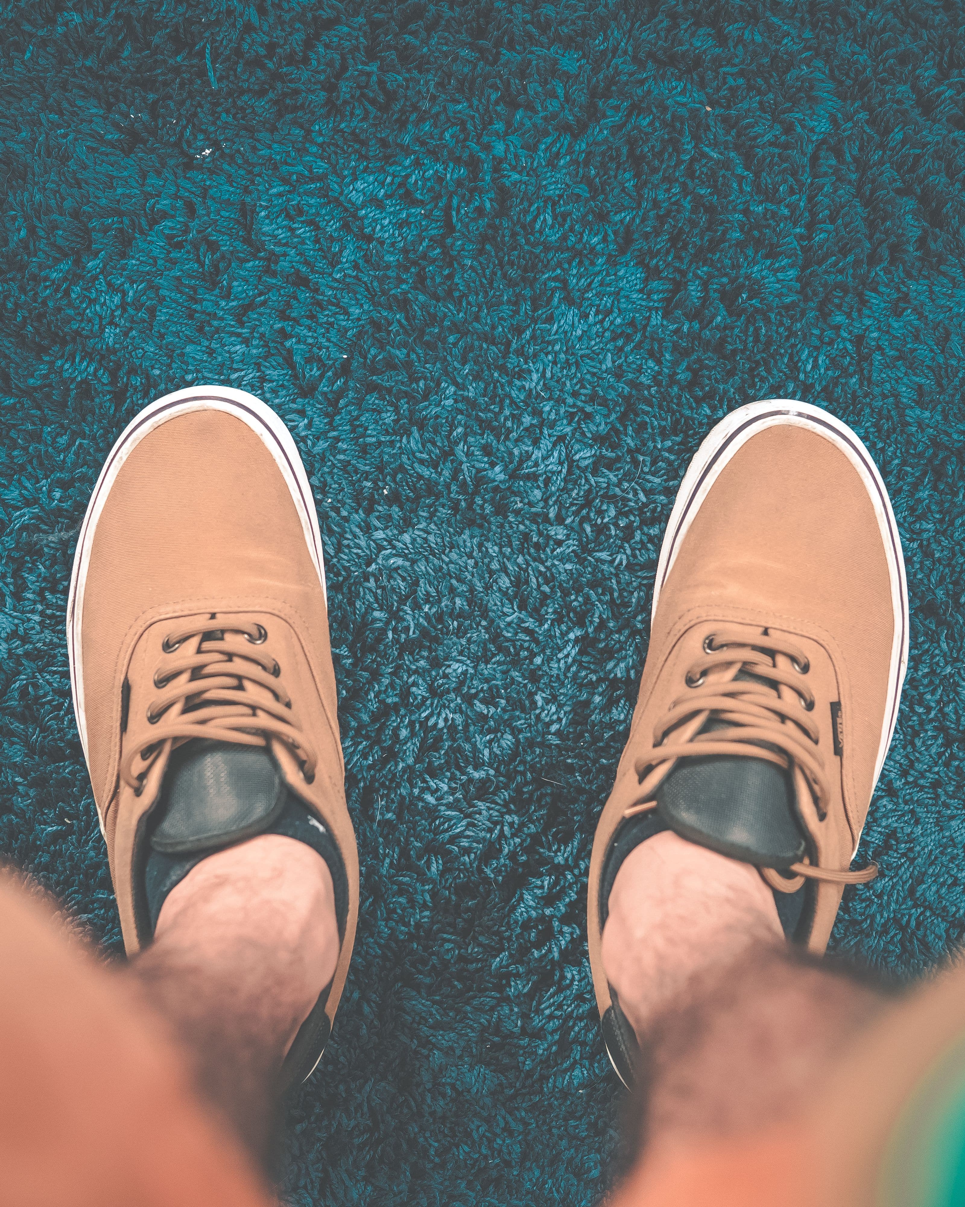 Carpet Brown Sneakers