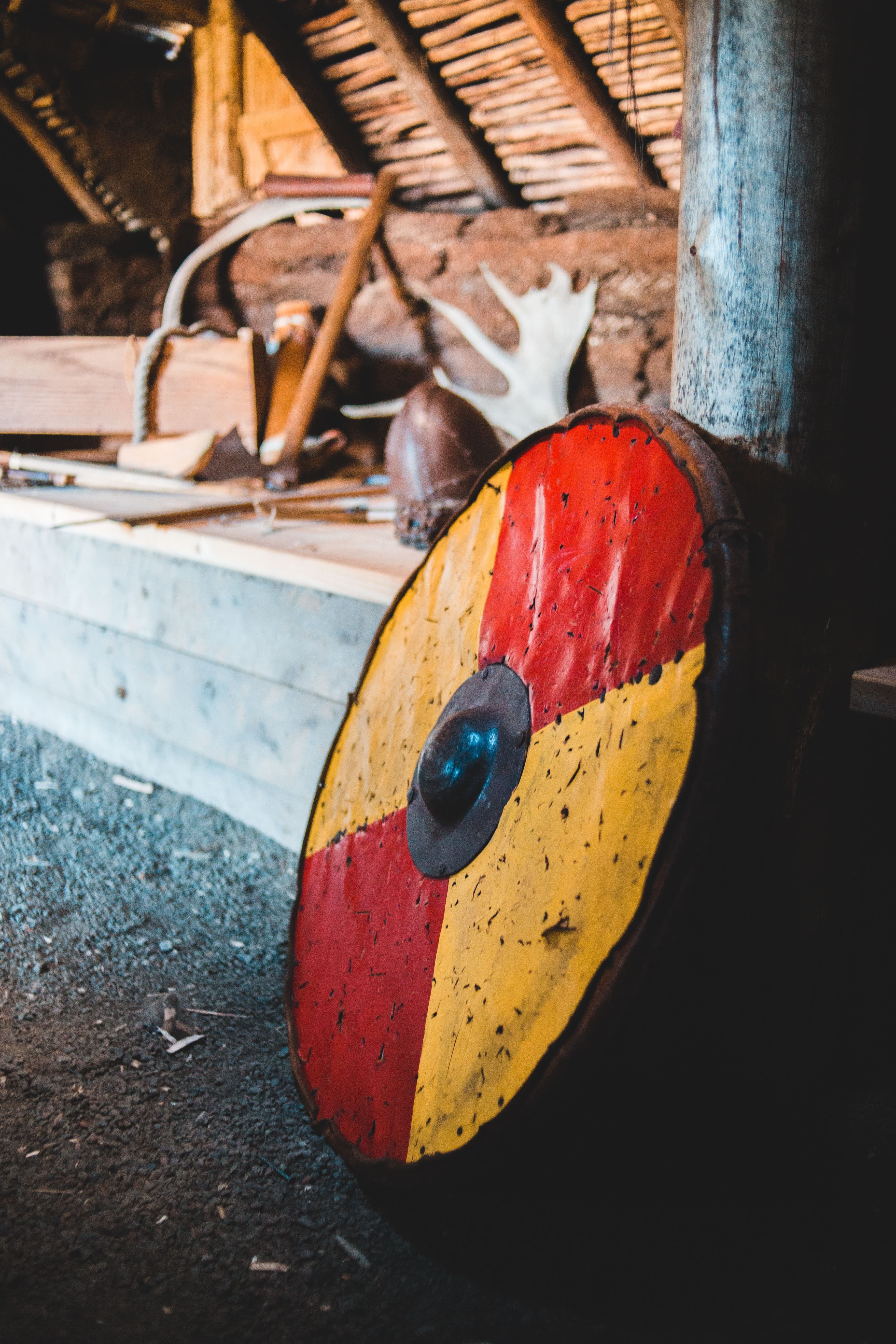 Vibrant Viking Shield