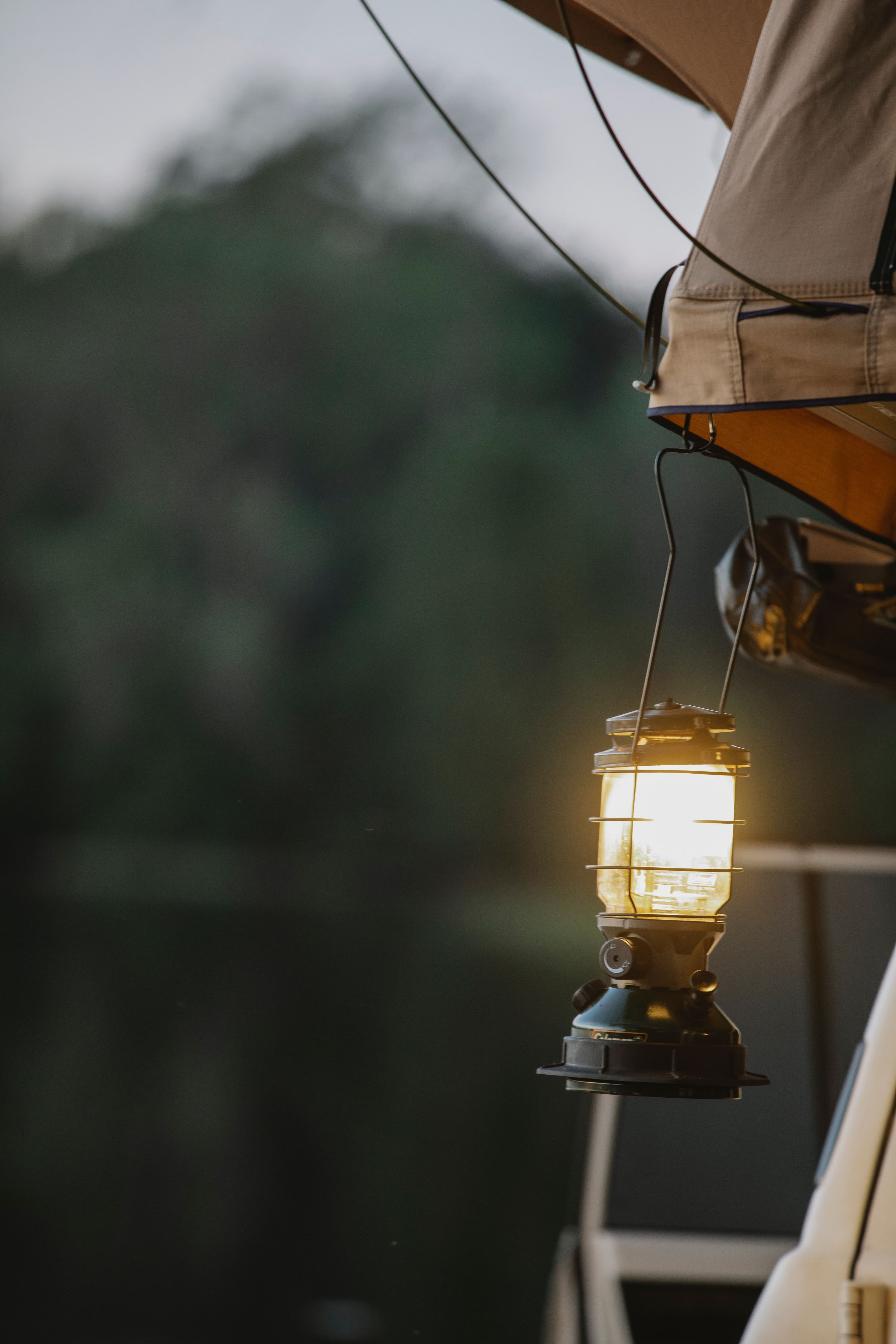 Lakeside Hanging Lantern